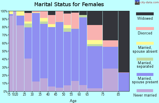 Zip code 85338 marital status for females