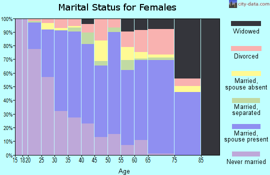 Zip code 85339 marital status for females