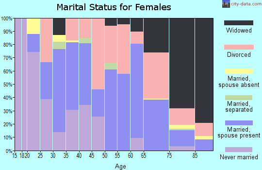 Zip code 85363 marital status for females