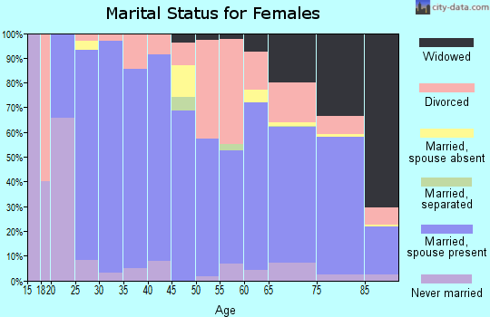 Zip code 85373 marital status for females