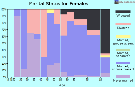 Zip code 85375 marital status for females