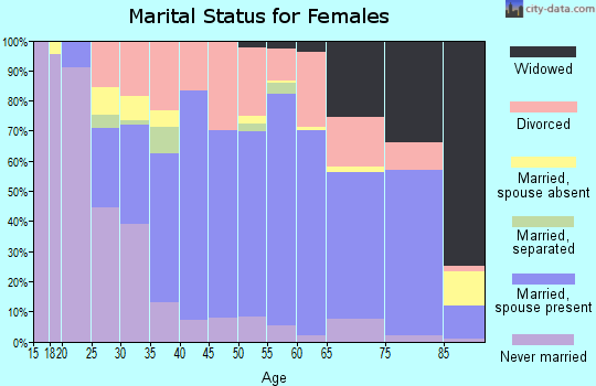 Zip code 85381 marital status for females