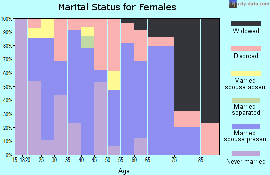 Zip code 85533 marital status for females