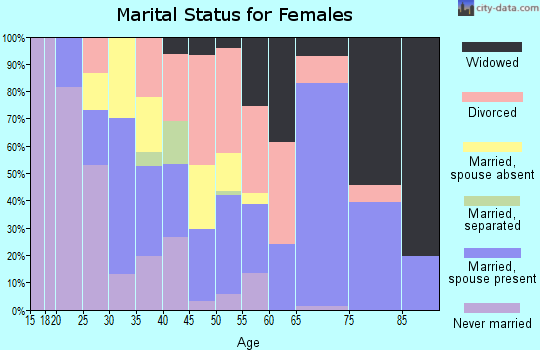 Zip code 85539 marital status for females
