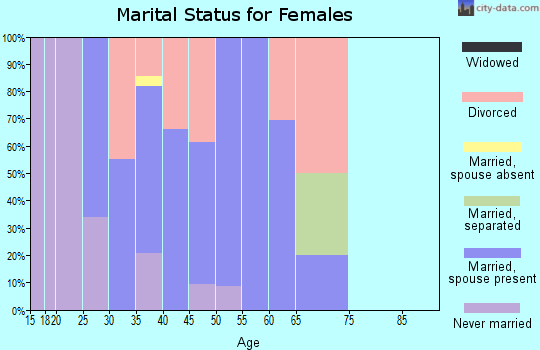 Zip code 85540 marital status for females