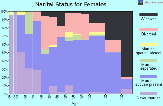 Zip code 85541 marital status for females