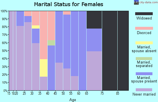 Zip code 85542 marital status for females