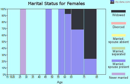 Zip code 85545 marital status for females