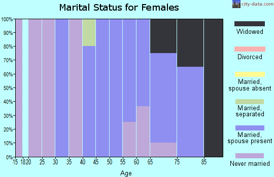 Zip code 85605 marital status for females