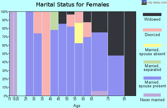 Zip code 85610 marital status for females
