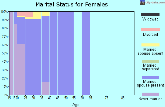 Zip code 85613 marital status for females