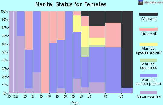 Zip code 85624 marital status for females