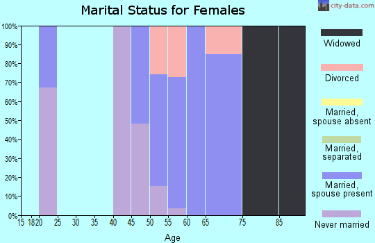 Zip code 85646 marital status for females