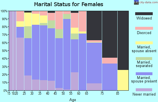 Zip code 85648 marital status for females