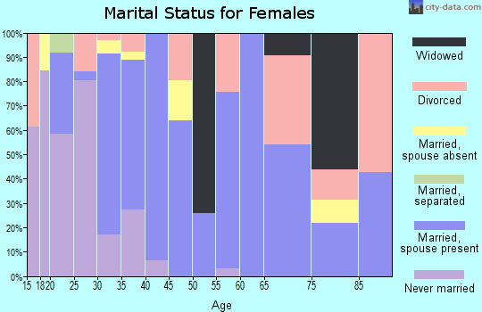 Zip code 85938 marital status for females