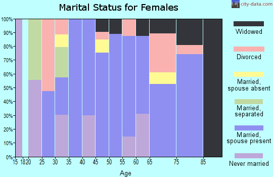 Zip code 85939 marital status for females