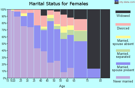Zip code 85941 marital status for females
