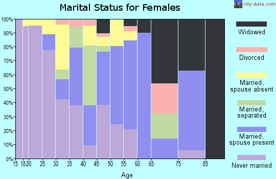 Zip code 86507 marital status for females