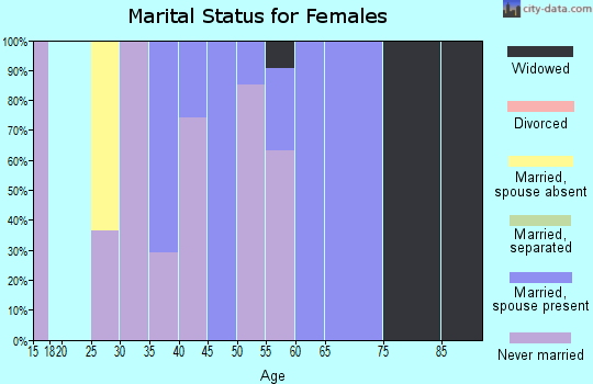 Zip code 87513 marital status for females
