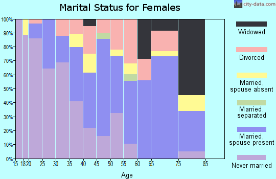 Zip code 87528 marital status for females