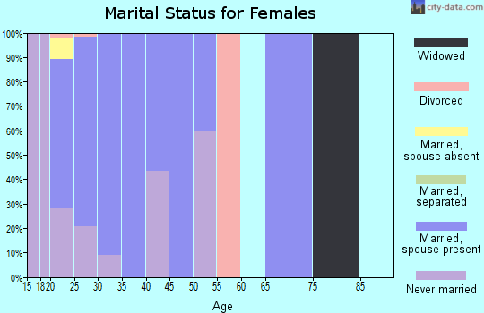 Zip code 88002 marital status for females