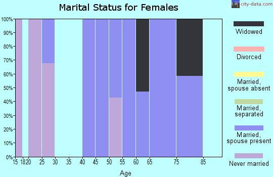 Zip code 88027 marital status for females