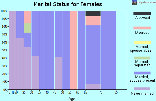 Zip code 88072 marital status for females