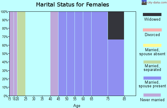 Zip code 88113 marital status for females