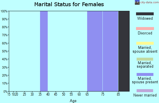 Zip code 88134 marital status for females