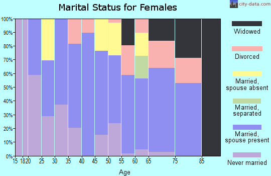 Zip code 88232 marital status for females