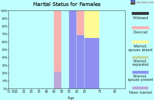 Zip code 88336 marital status for females