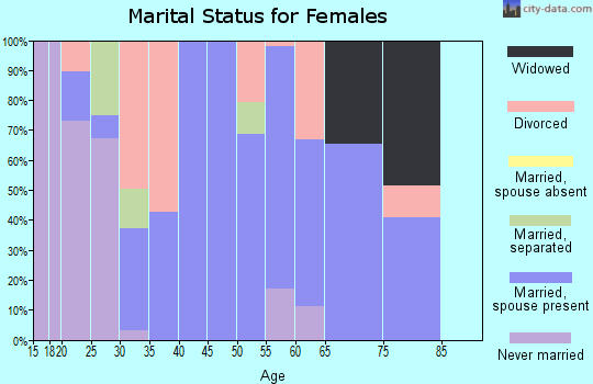 Zip code 88337 marital status for females