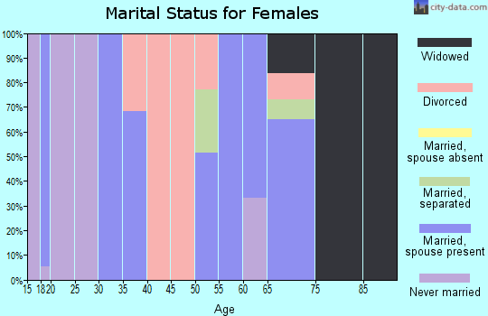 Zip code 88353 marital status for females