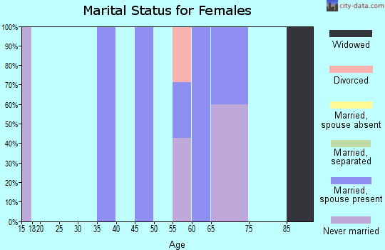 Zip code 88411 marital status for females