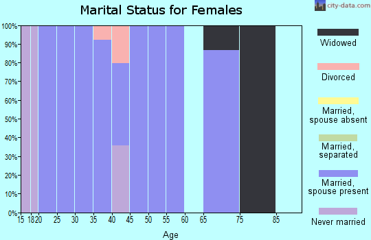 Zip code 89042 marital status for females