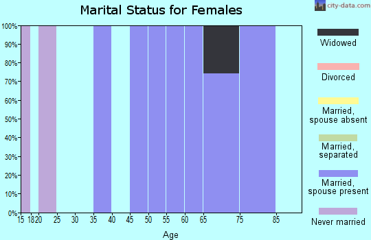 Zip code 89043 marital status for females