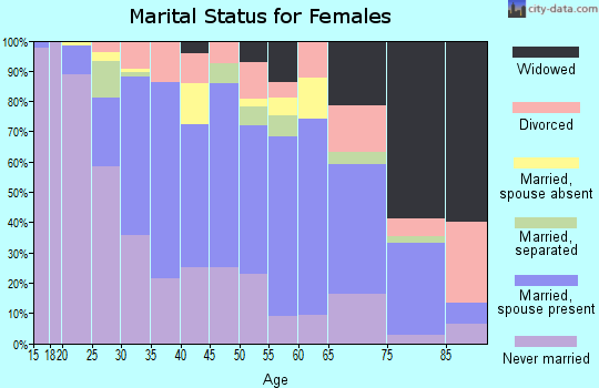 Zip code 90040 marital status for females