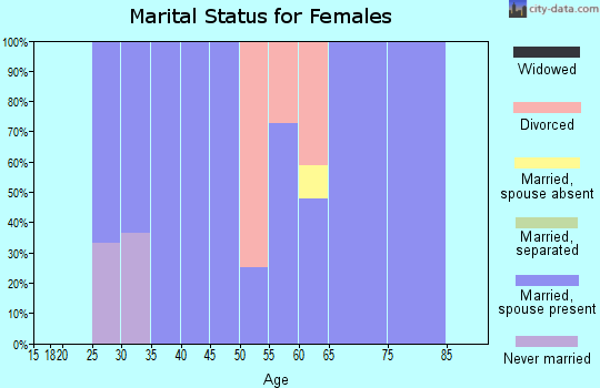 Zip code 94592 marital status for females