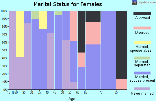 Zip code 95303 marital status for females