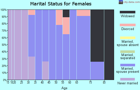 Zip code 95383 marital status for females