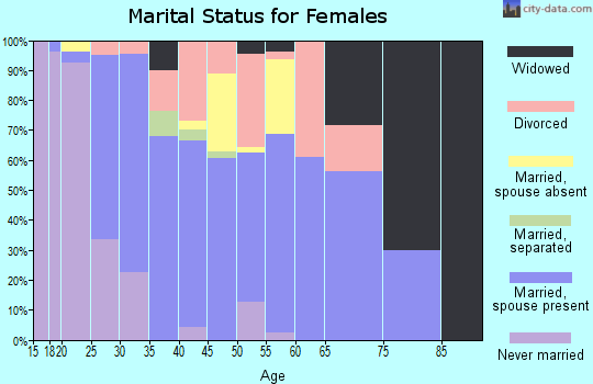 Zip code 95386 marital status for females