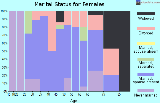 Zip code 95528 marital status for females