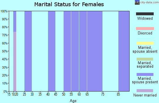 Zip code 96040 marital status for females