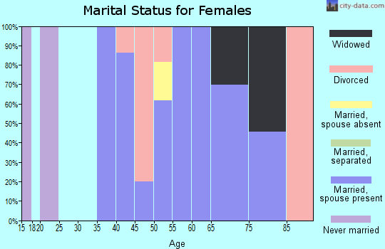 Zip code 96140 marital status for females