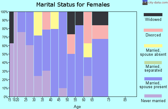 Zip code 96143 marital status for females