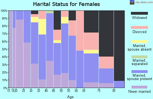Zip code 96704 marital status for females