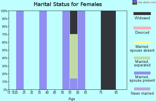 Zip code 98304 marital status for females