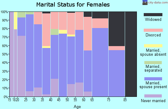 Zip code 98528 marital status for females