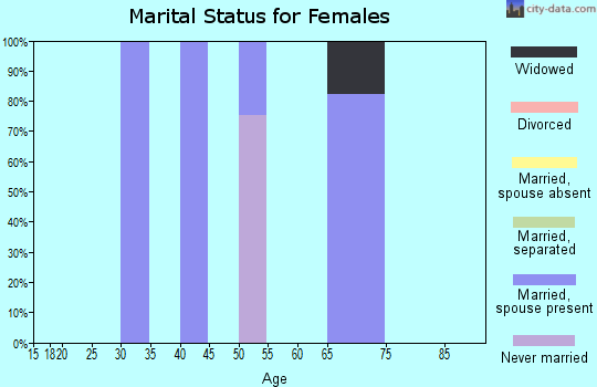 Zip code 98859 marital status for females