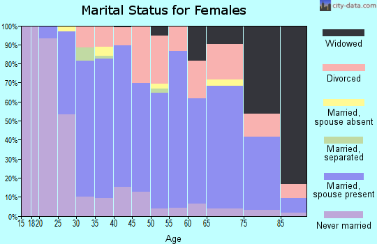 Zip code 99004 marital status for females